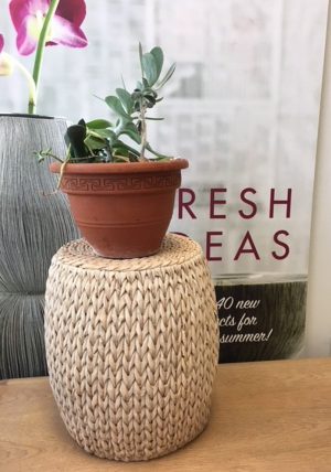 Basket Weave Cement Pedestal